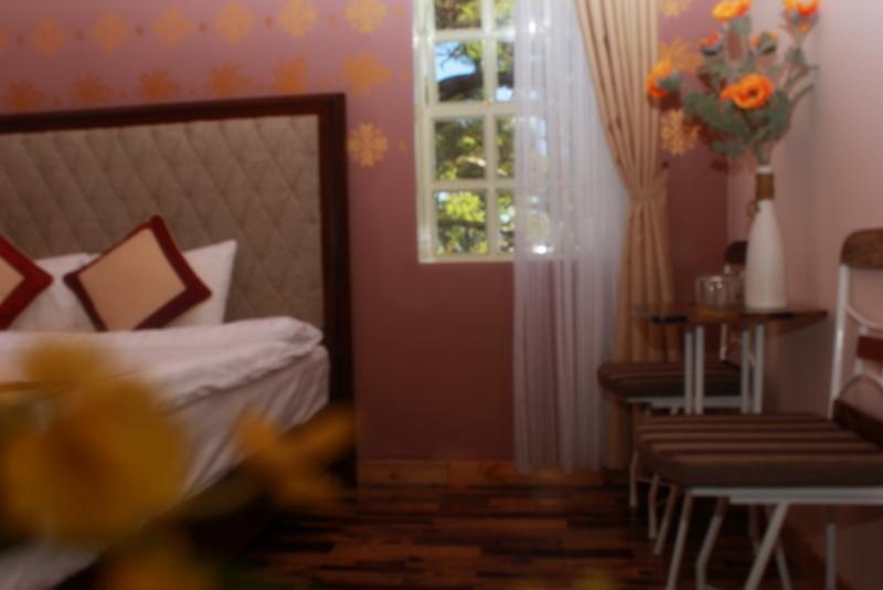 Thong Do Da Lat Hotel دالات المظهر الخارجي الصورة